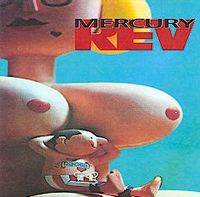 Mercury Rev : Boces